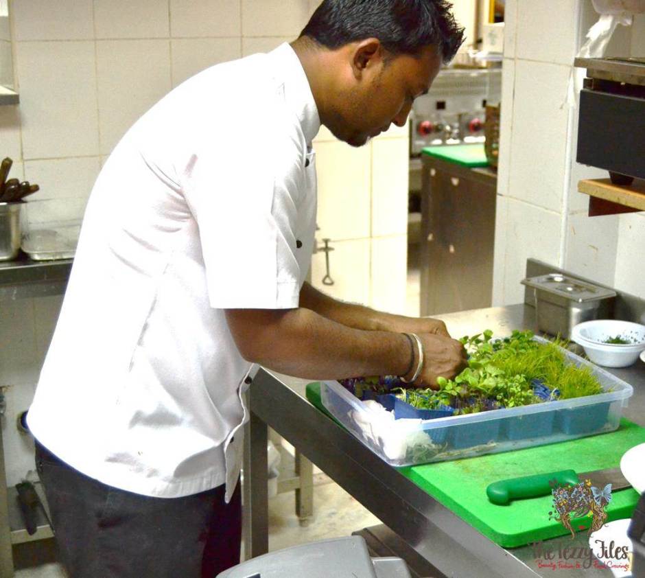 italian herbs garden