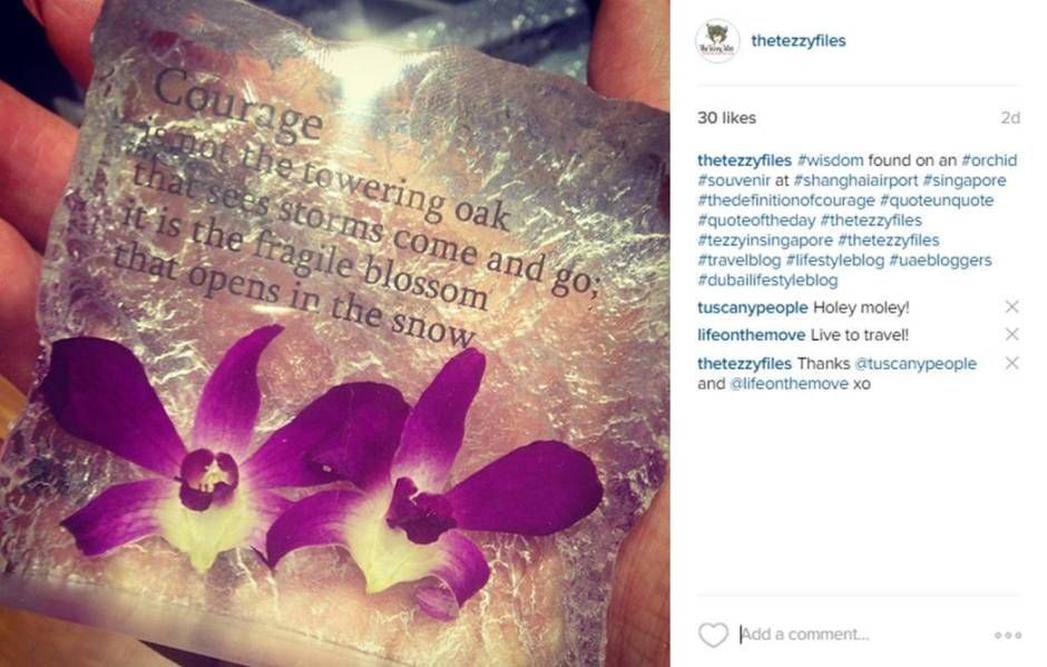 singapore orchid quote