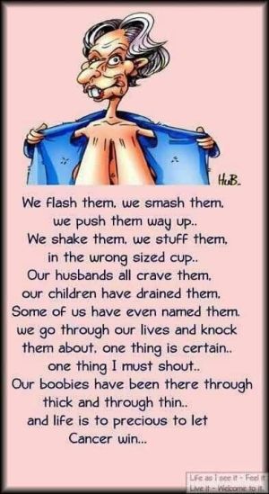 30cc0eb1b52a7a0ababdc78f36383a2b