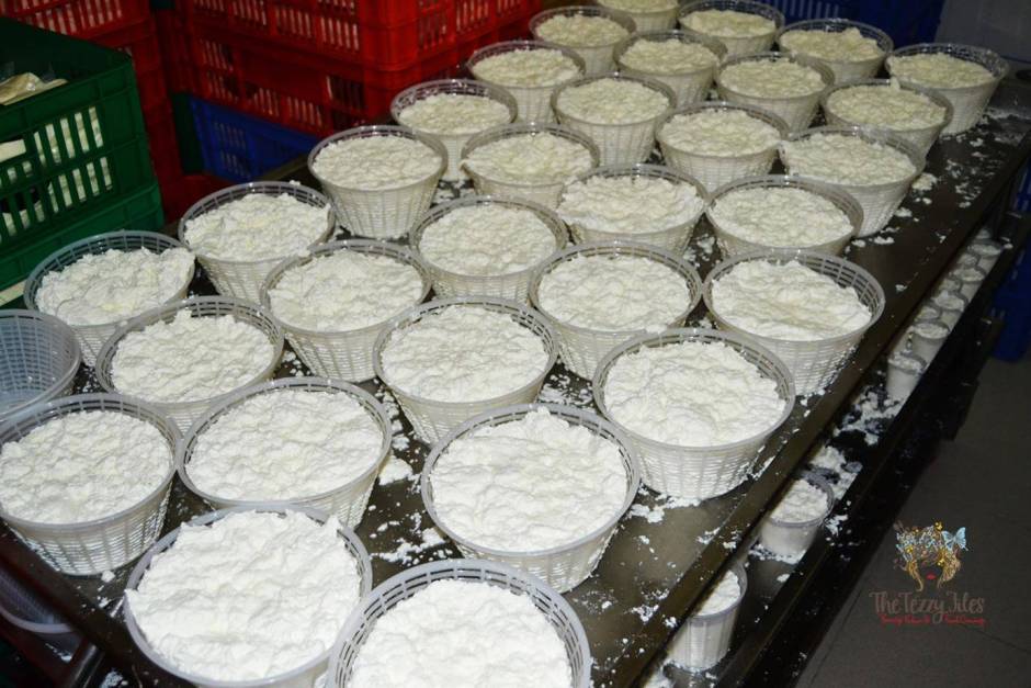 Italian Dairy Products UAE factory visit review (10)