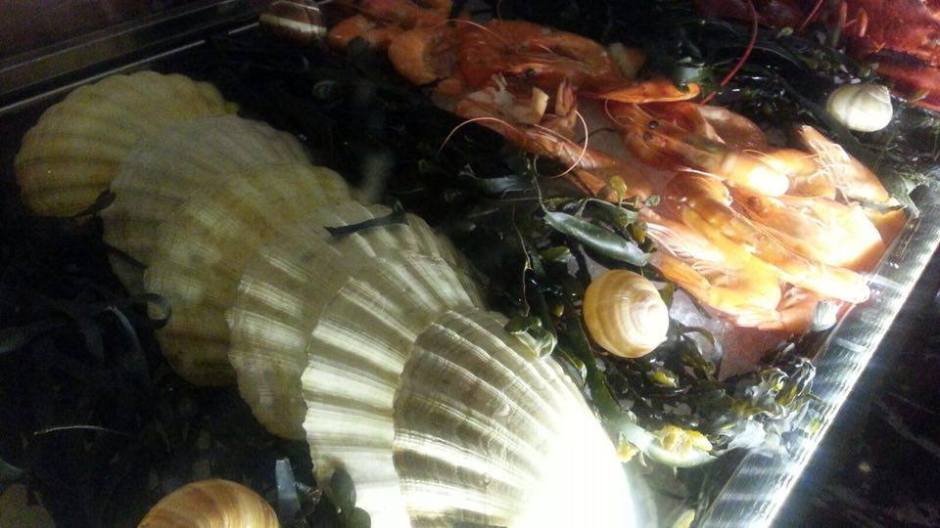 12431238_10153768836967487_1291368261_n