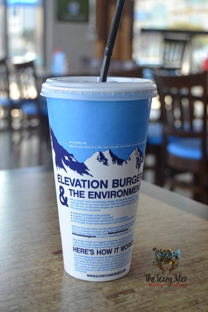 Elevation Burger Majaz Waterfront Sharjah Review (6)
