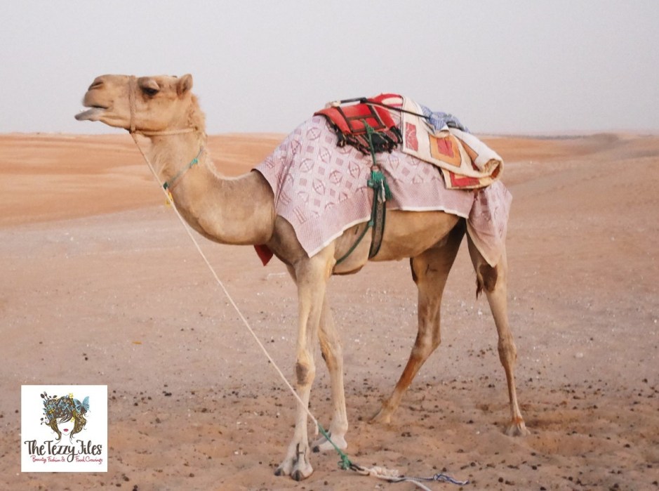 Tilal Liwa Hotel staycation review holiday in Abu Dhabi UAE by The Tezzy Files Dubai Travel and Lifestyle Blogger (135)