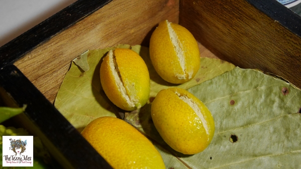 Tresind Iftar Ramadan 2016 review by The Tezzy Fies Dubai Food Blog UAE Indian Fine Dining (5)