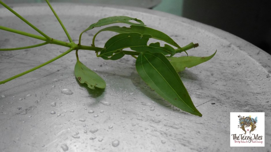 Chicken Pulao Recipe Iftar Ramadan India Muslim Indian Recipe Shillong India Bengal Assam The Tezzy Files Dubai Food Lifestyle Travel Blog Blogger (10)