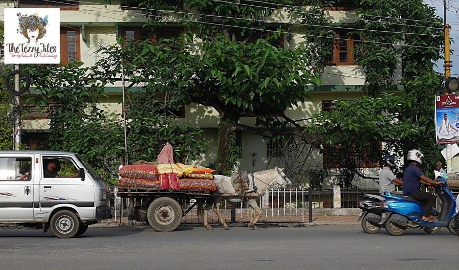 Guwahati Assam India Monsoons July 2016 by The Tezzy Files Dubai Travel Blogger (24)