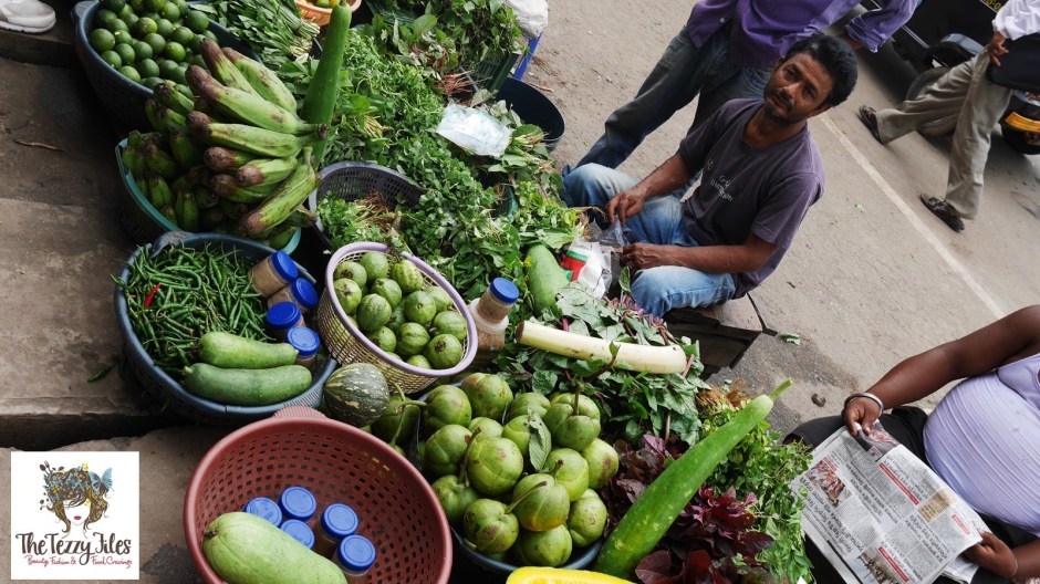 Guwahati Assam India Monsoons July 2016 by The Tezzy Files Dubai Travel Blogger (6)
