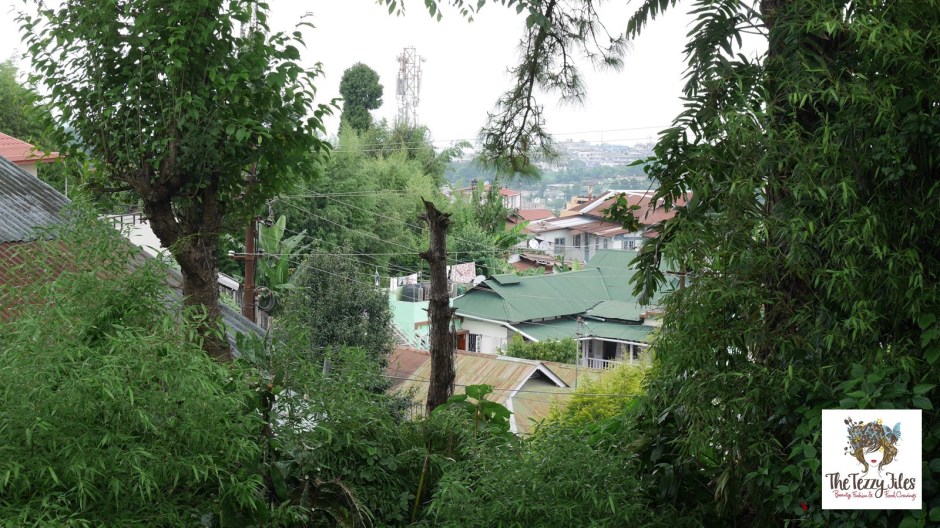 An endless sea of tin roofs curtained by the greenery of pine trees.