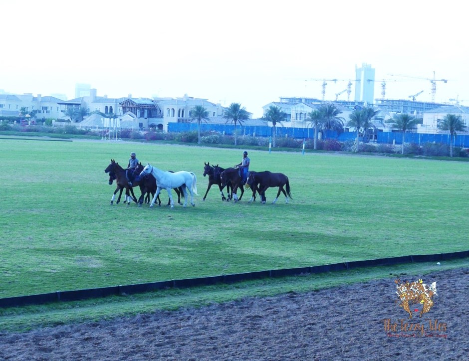 dubai-polo-club-equestrian-club-dubai-weddings-venue-horses-baraati-bloggers-event-sari-saree-indian-blog-dubai-india-uae-wedding-bloggers-lifestyle-blog-uae-2