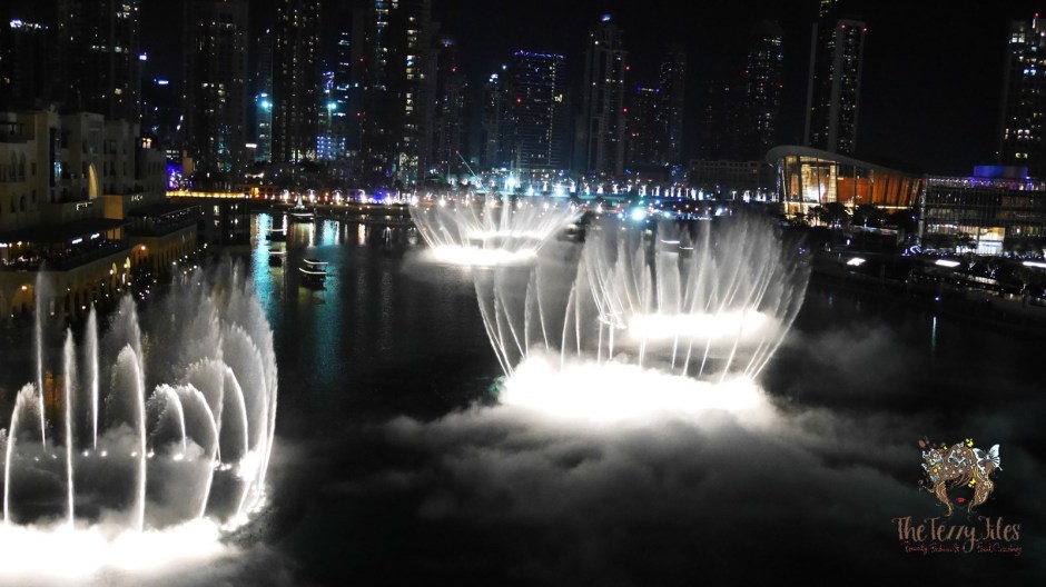 tribes-carnivore-south-african-meat-restaurant-review-the-dubai-mall-fountains-view-the-tezzy-files-dubai-food-blog-lifestyle-blogger-wagyu-steak-short-ribs-date-night-1