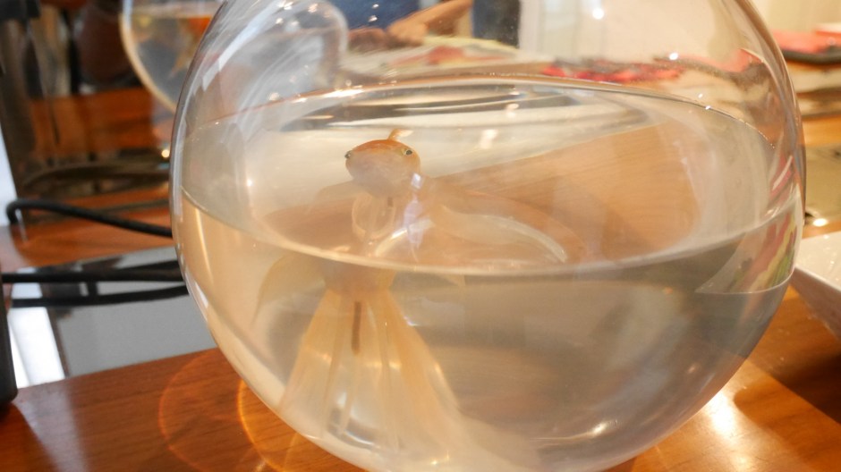 Media One Hotel Dubai Media City Review Staycation Holiday blog tripadvisor uae (3)