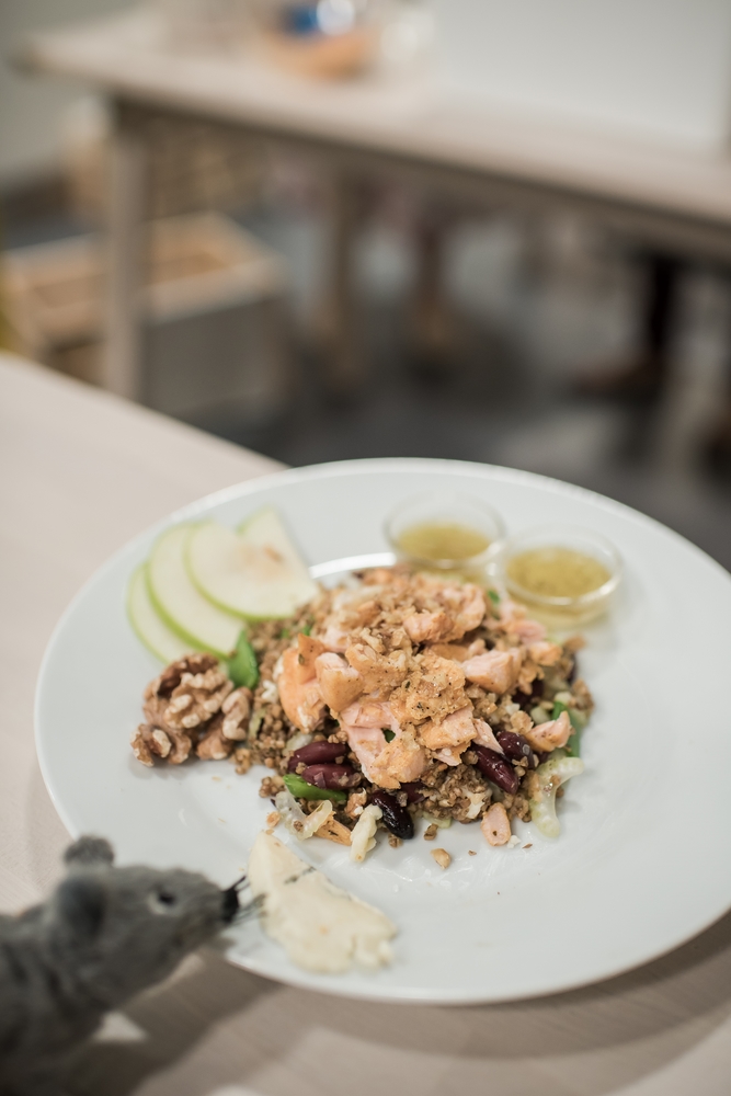 Ikea Dubai Salmon Bloggers challenge cook off master chef uae The Tezzy Files Dubai Food Blog UAE Lifestyle Blogger (1)