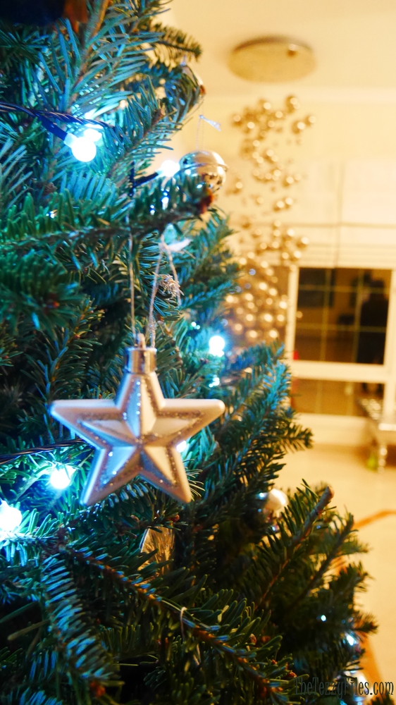 UberTREES Uber Tree Christmas Real Tree Order Dubai UAE (4)